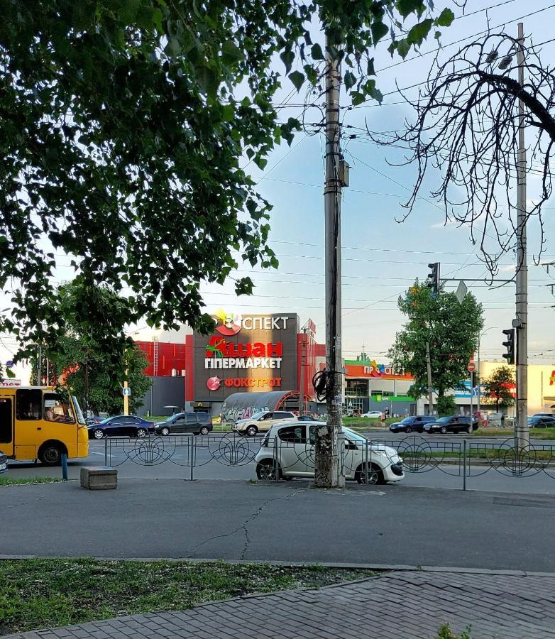 Просторі Апартаменти Kiev Bagian luar foto