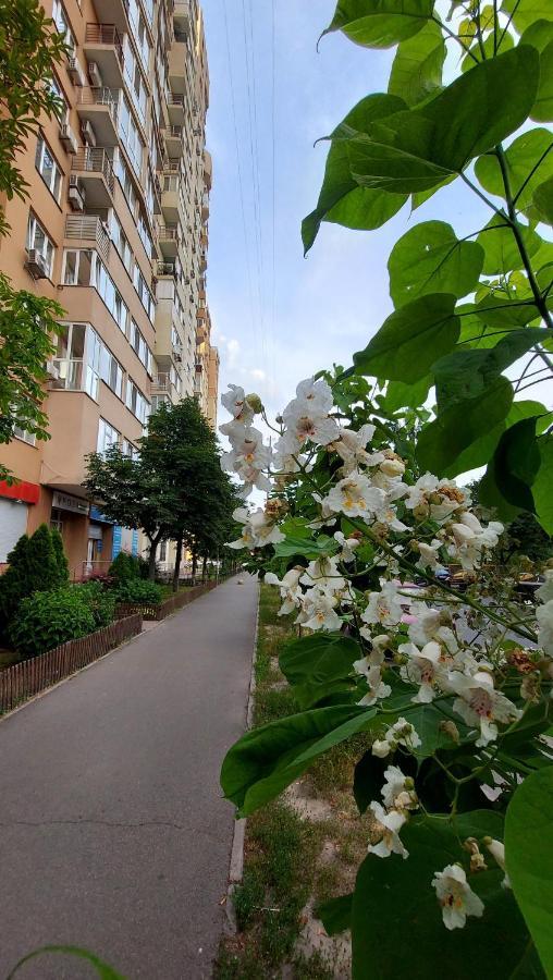 Просторі Апартаменти Kiev Bagian luar foto